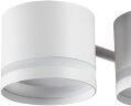 Потолочная люстра Lumion 8235/6C