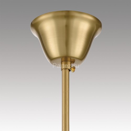 Подвесная люстра Lumion 8243/6