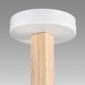 Потолочная люстра Lumion 8095/3C