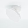 Потолочный светильник Escada 20023SMA/01LED WH