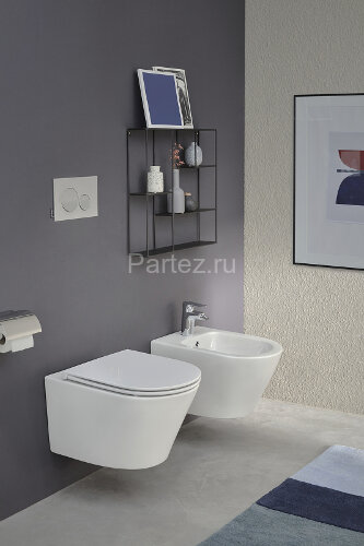 Биде подвесное Jacob Delafon Rodin+ белое (EMJ0002-00)