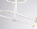 Потолочная люстра Ambrella FL66221