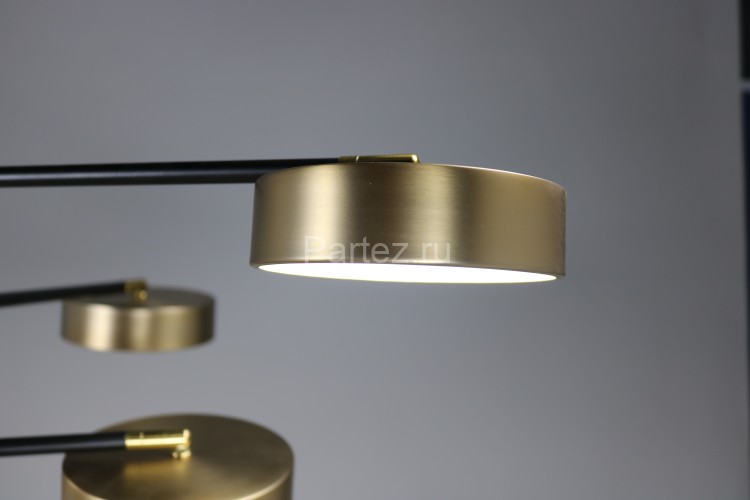 Потолочная люстра Zortes ZRS.01243.08