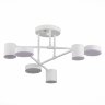 Потолочная люстра Evoluce SLE201052-06
