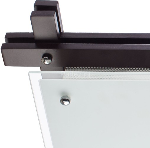 Потолочный светильник Arte Lamp A6462PL-2CK