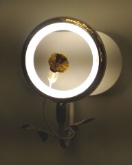 Бра Odeon Light 4036/6WL