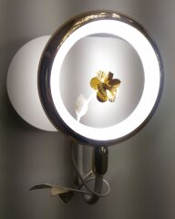 Бра Odeon Light 4036/6WL