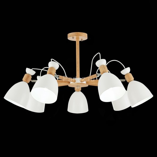 Потолочная люстра Evoluce SLE103802-07