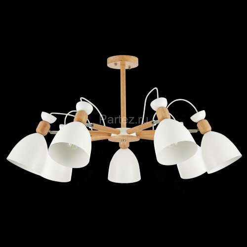 Потолочная люстра Evoluce SLE103802-07