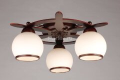 Потолочная люстра Omnilux OML-50507-03