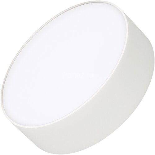 Потолочный светильник Arlight 022228(2)