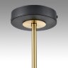 Потолочная люстра Lumion 8240/8C