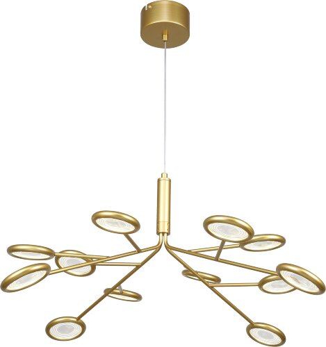 Подвесная люстра F-Promo 4253-12P