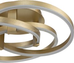 Потолочная люстра Indigo V000003L