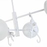 Потолочная люстра Evoluce SLE115102-04