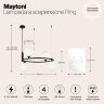 Подвесной светильник Maytoni MOD013PL-04B