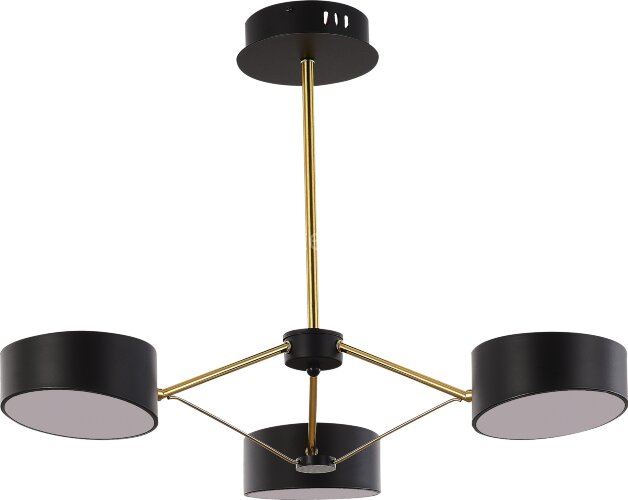 Потолочная люстра Evoluce SLE6005-402-03