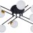 Потолочная люстра Arte Lamp A2243PL-8BK