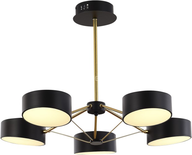 Потолочная люстра Evoluce SLE6005-402-05