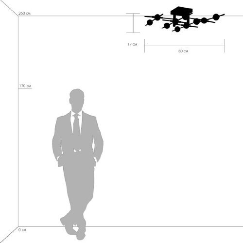 Потолочная люстра Lightstar 745147