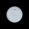 Потолочный светильник Loft It 10001/36 Blue