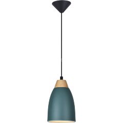 Подвесной светильник TopLight TL0724H-2G