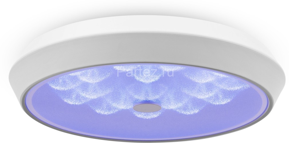 Потолочный светильник Freya FR10012CL-L24W