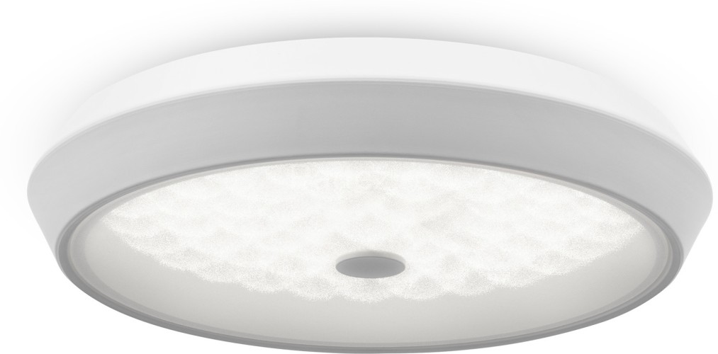 Потолочный светильник Freya FR10012CL-L24W