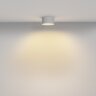 Потолочный светильник Maytoni C032CL-12W2.7K-RD-W