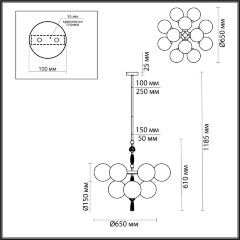 Потолочная люстра Odeon Light 5405/12